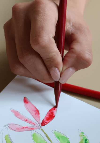 Plaura™ Woodless Watercolour Pencils