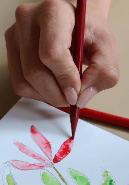 Plaura™ Woodless Watercolour Pencils